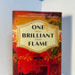 One Brilliant Flame by Joy Castro