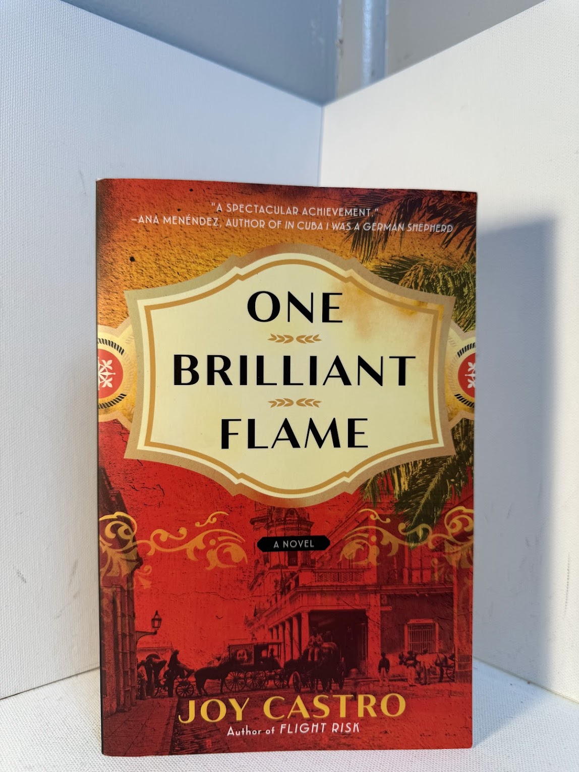 One Brilliant Flame by Joy Castro