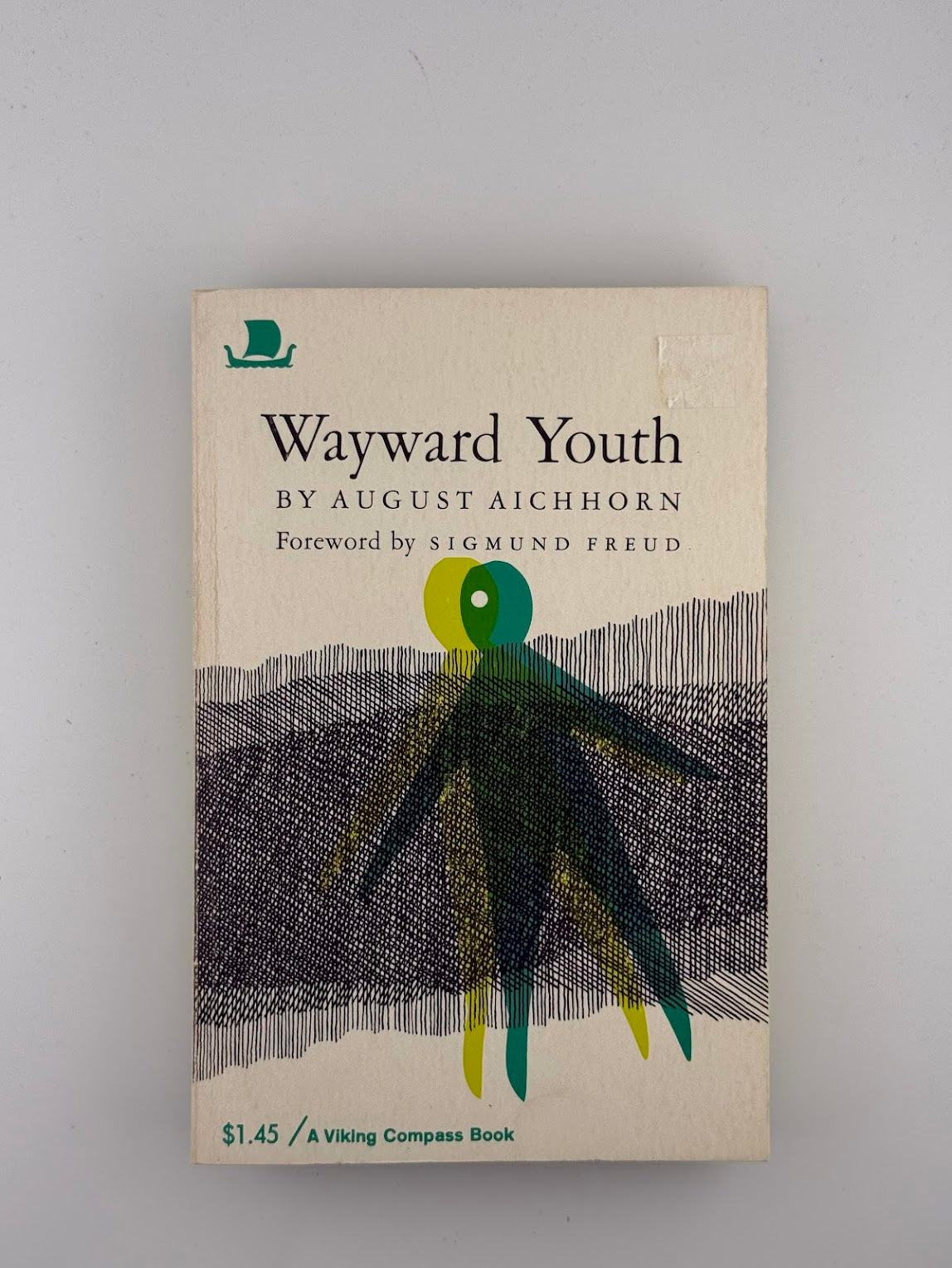 Wayward Youth by August Aichhorn