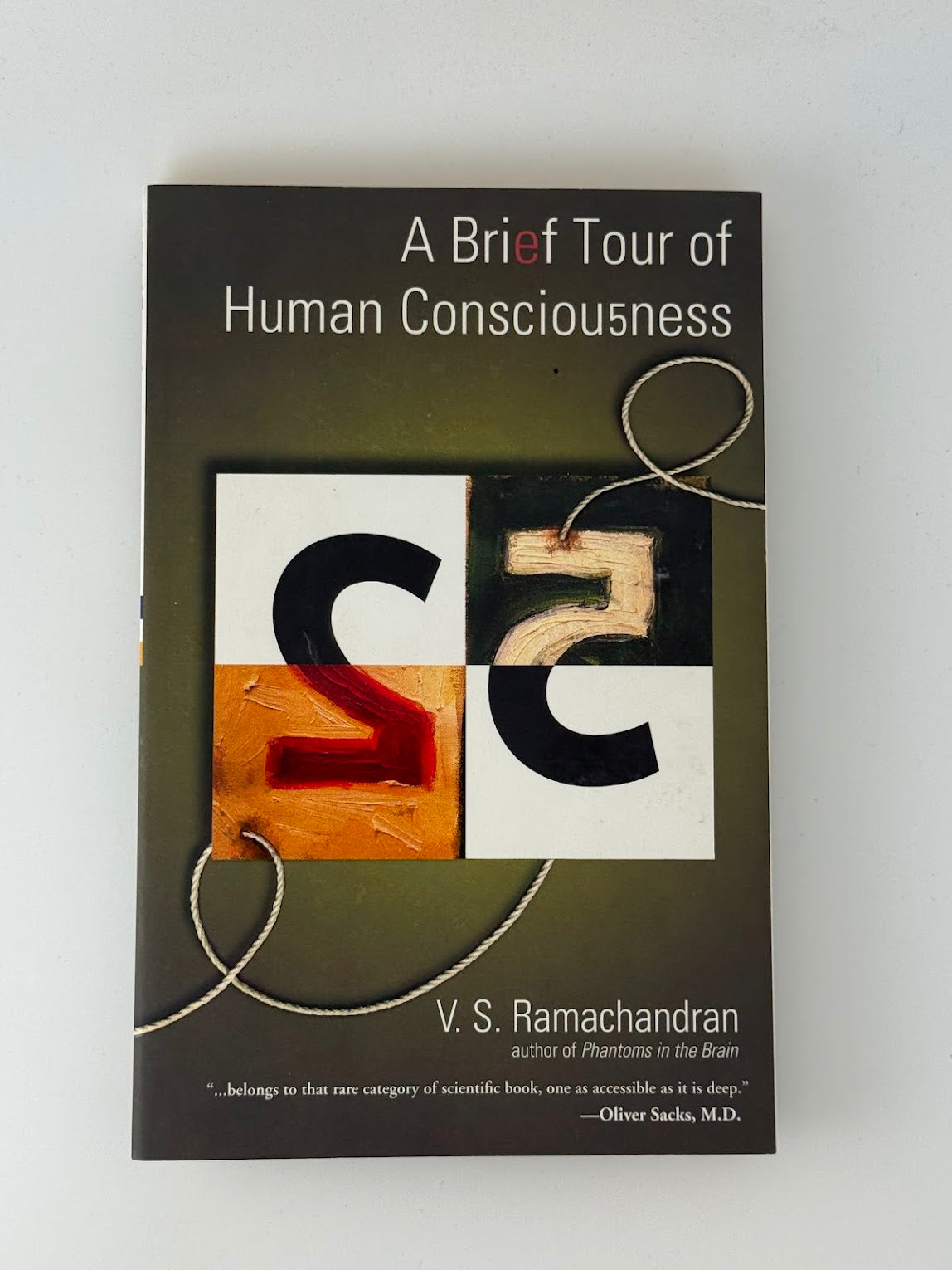 A Brief Tour of Human Consciousness by V.S. Ramachandran