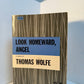 Look Homeward, Angel by Thomas Wolfe