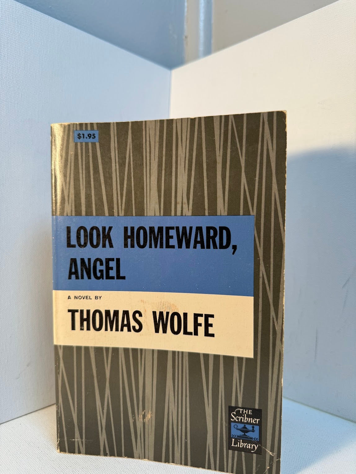 Look Homeward, Angel by Thomas Wolfe