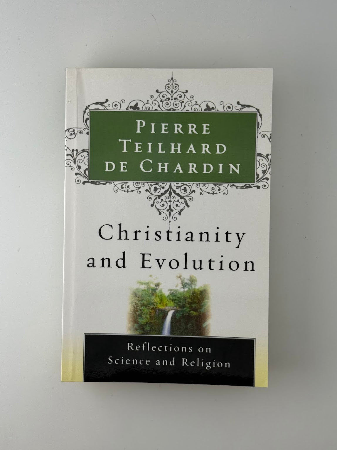Christianity and Evolution by Pierre Teilhard de Chardin
