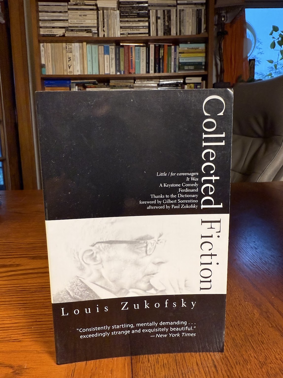 Collected Fiction by Louis Zukofsky