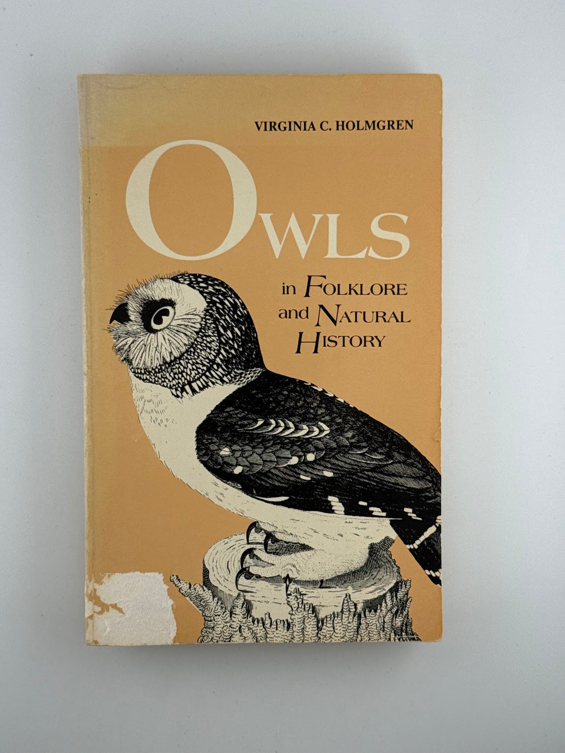 Owls in Folklore and Natural History by Virginia C, Holmgren