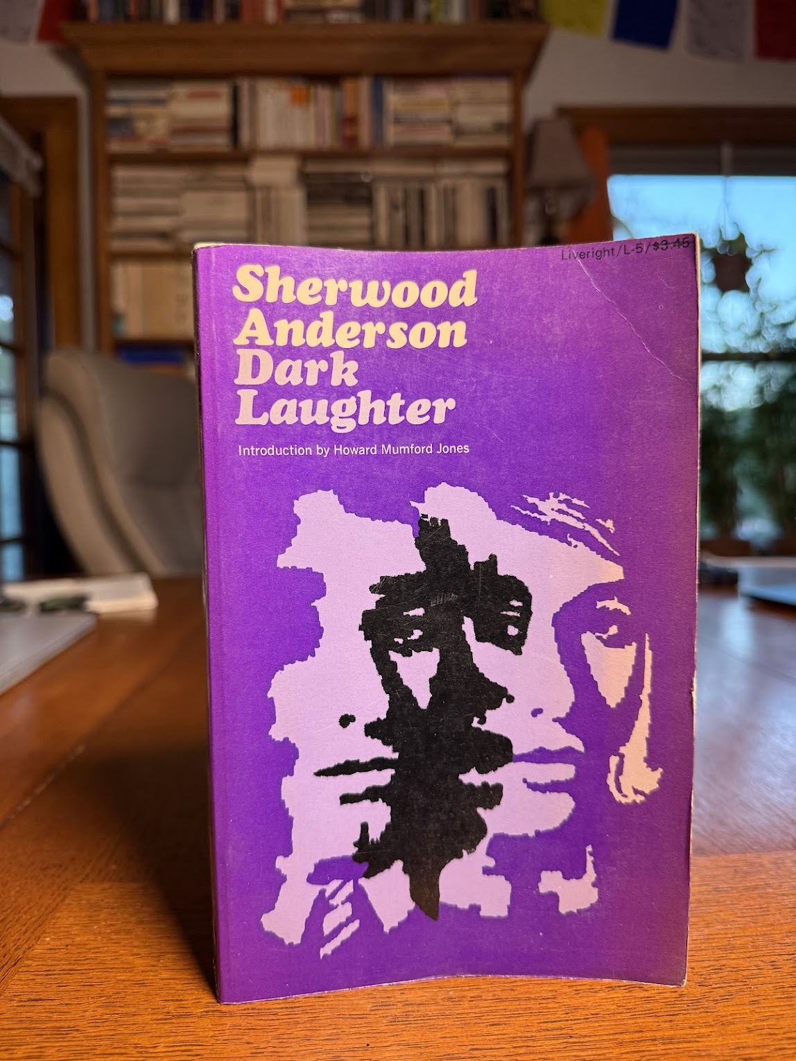 Dark Laughter by Sherwood Anderson