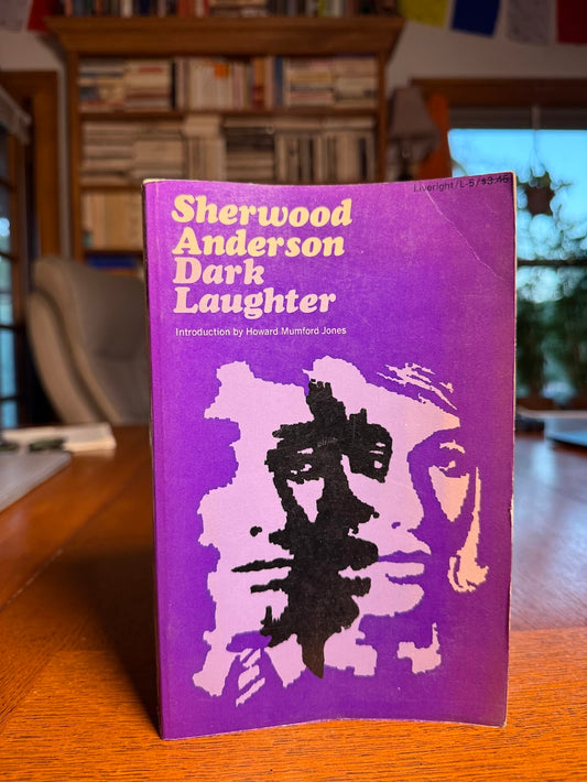 Dark Laughter by Sherwood Anderson
