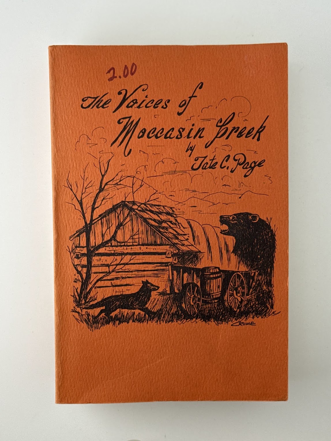 The Voices of Moccasin Creek by Tate C. Page