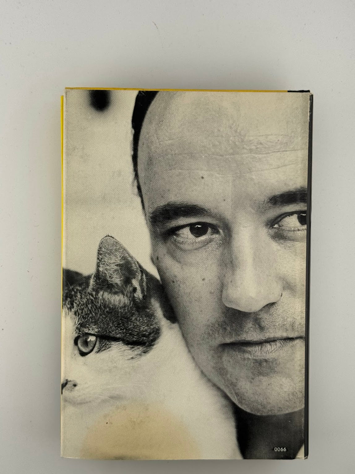 The Human Zoo by Desmond Morris