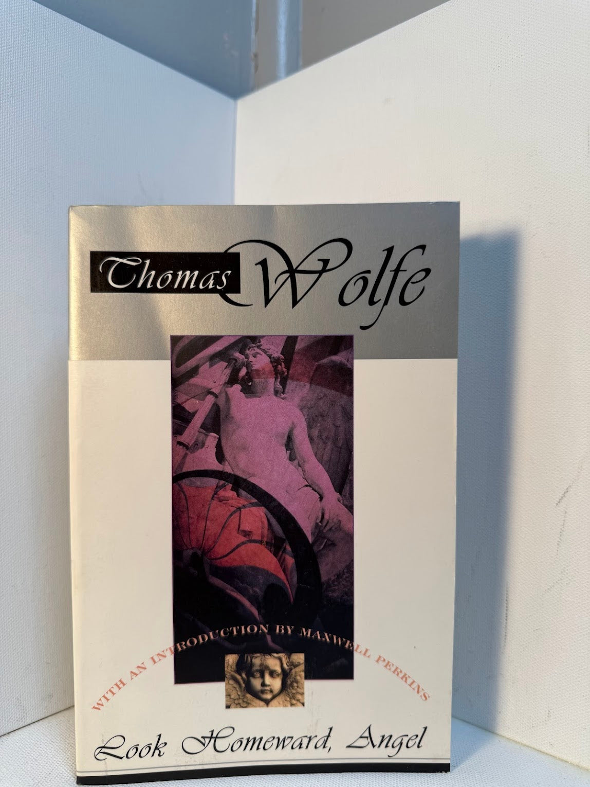 Look Homeward Angel by Thomas Wolfe