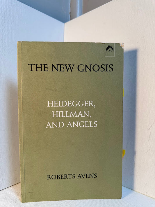 The New Gnosis - Heidegger, Hillman, and Angels by Robert Avens