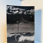 Homer's Odyssey - A Critical Handbook edited by Conny Nelson