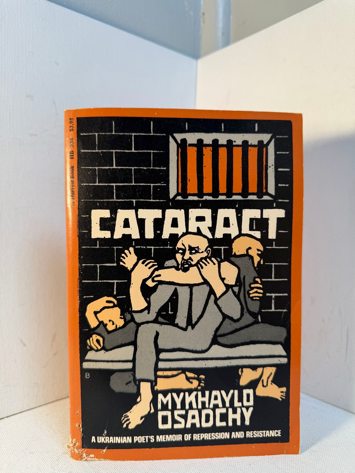 Cataract by Mykhaylo Osadchy