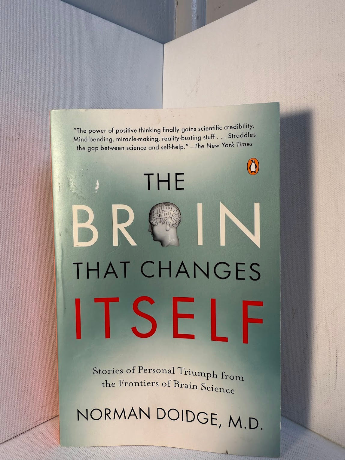 The Brain that Changes Itself by Norman Doidge