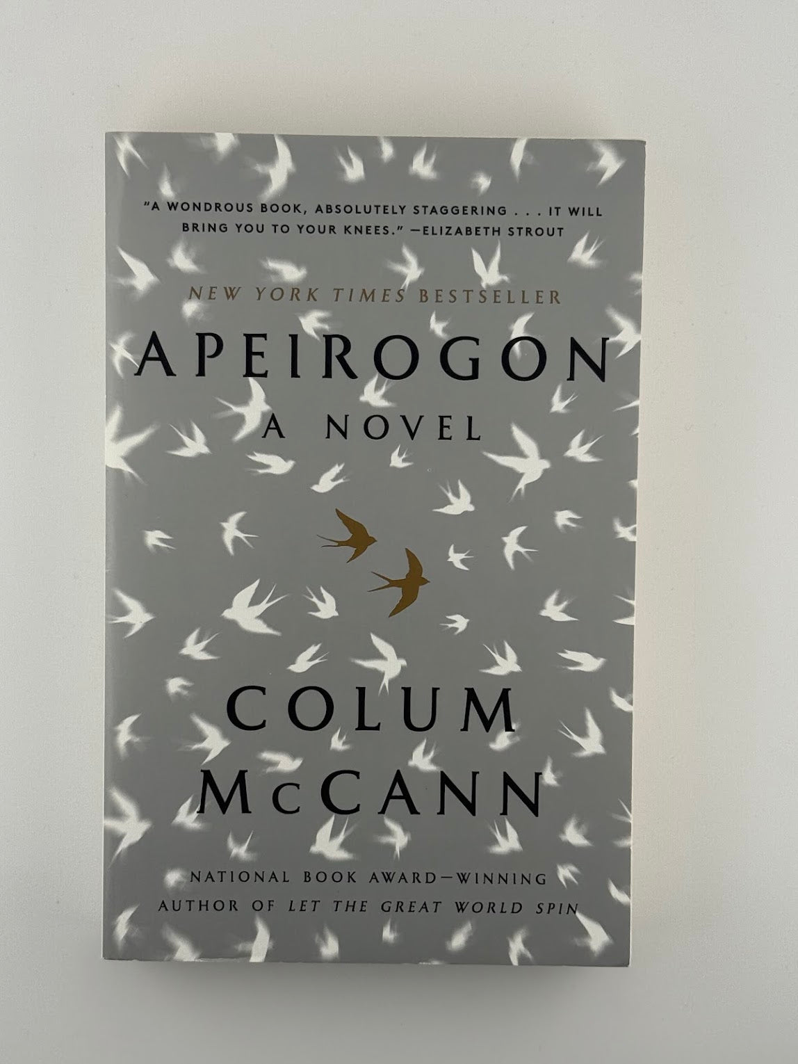Apeirogon by Colum McCann