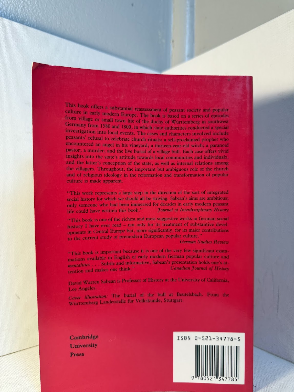 Power in the Blood - Popular Culture & Village Discourse in Early Modern Germany by David Warren Sabean