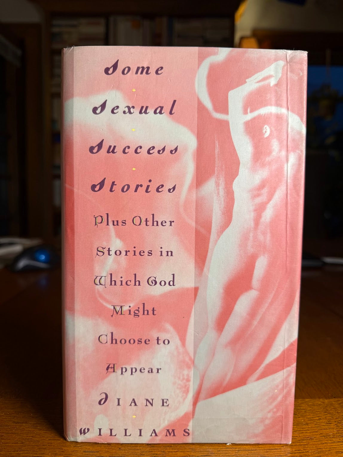 Some Sexual Success Stories by Diane Williams