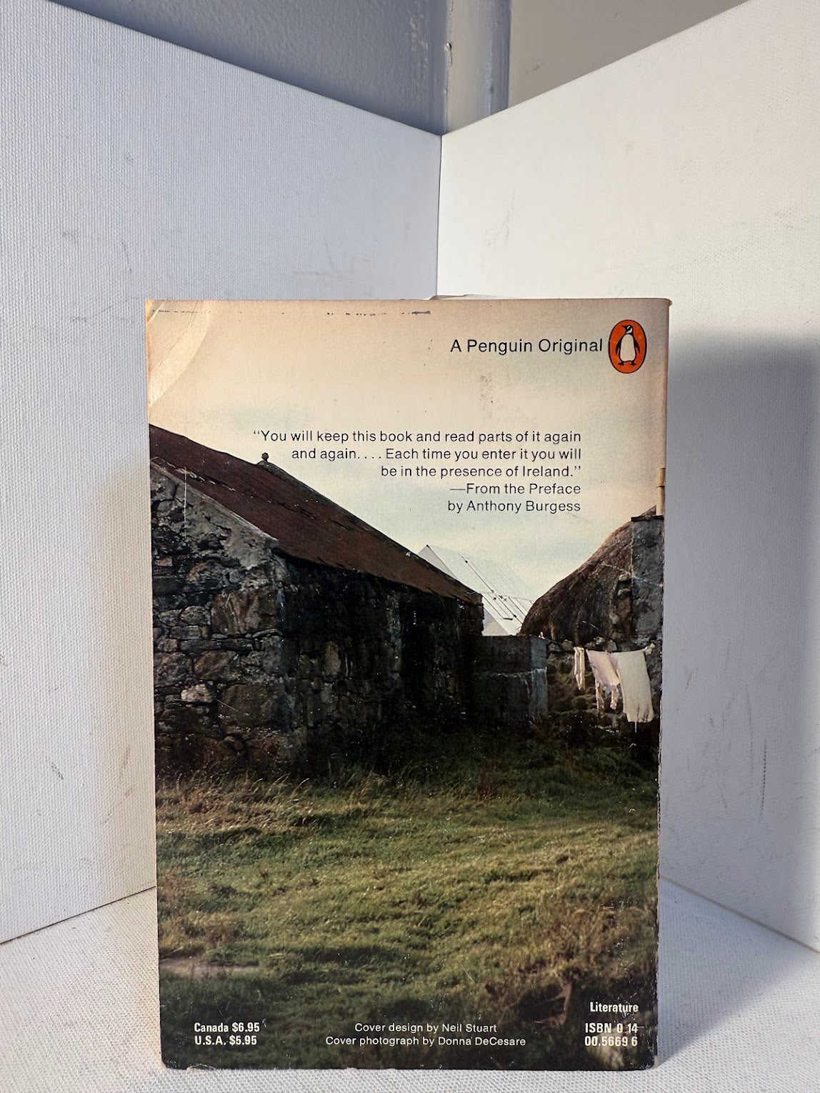 Modern Irish Short Stories edited by Ben Forkner