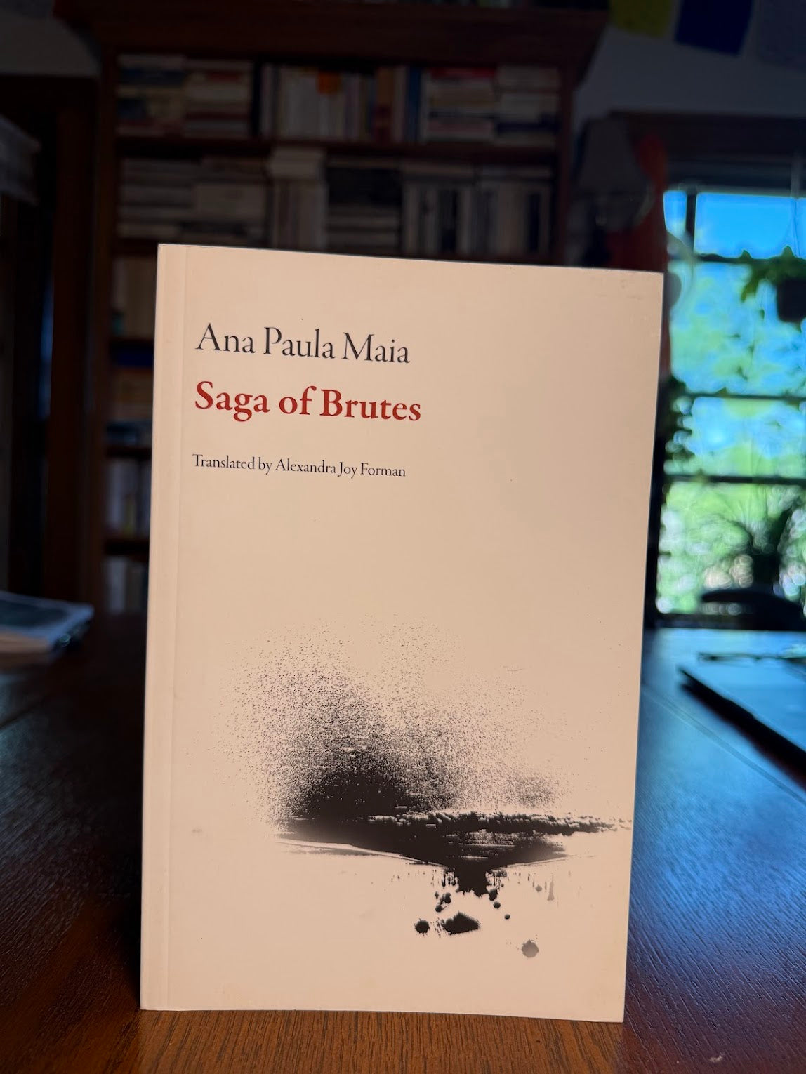 Saga of Brutes by Ana Paula Maia