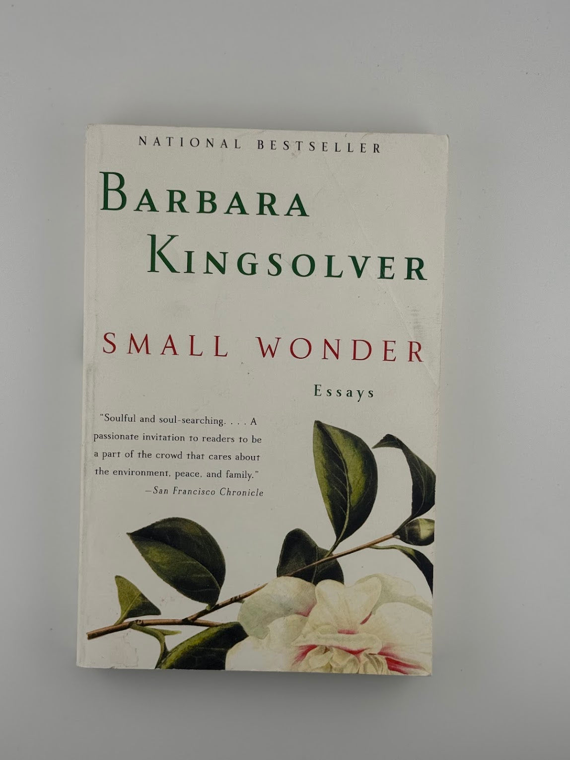 Small Wonder by Barbara Kingsolver