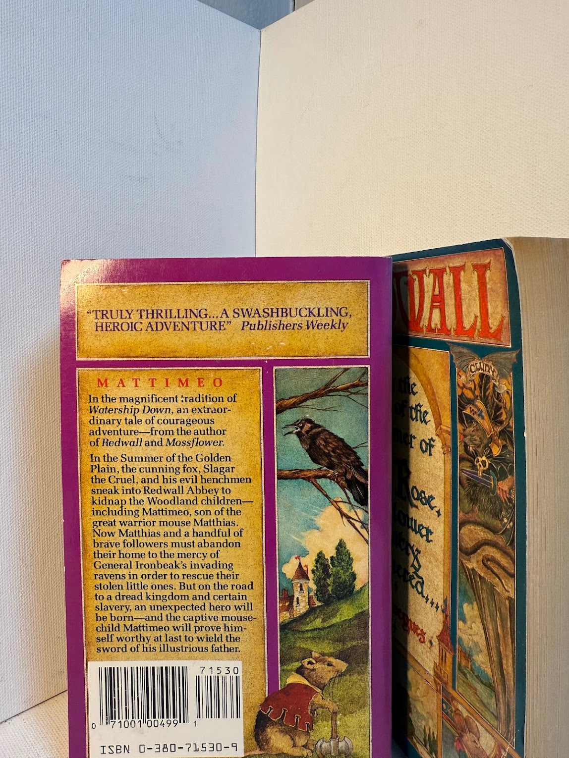 Redwall and Mattimeo by Brian Jacques