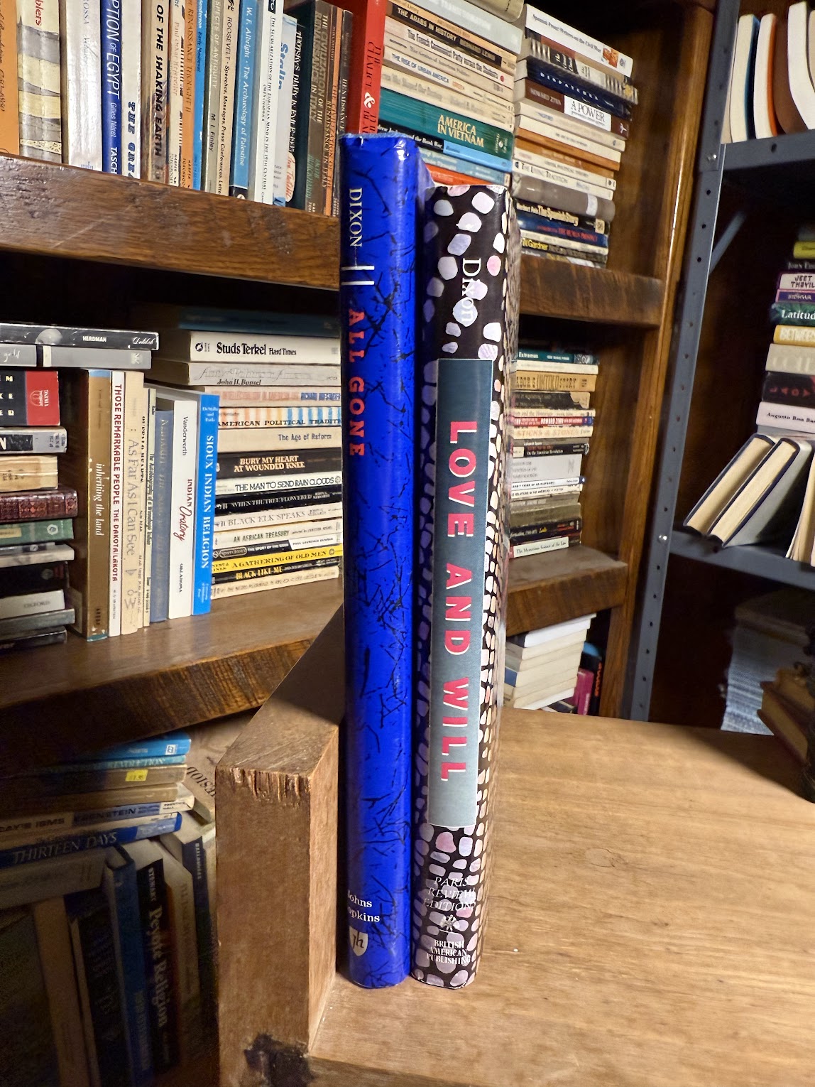 Love and Will & All Gone by Stephen Dixon