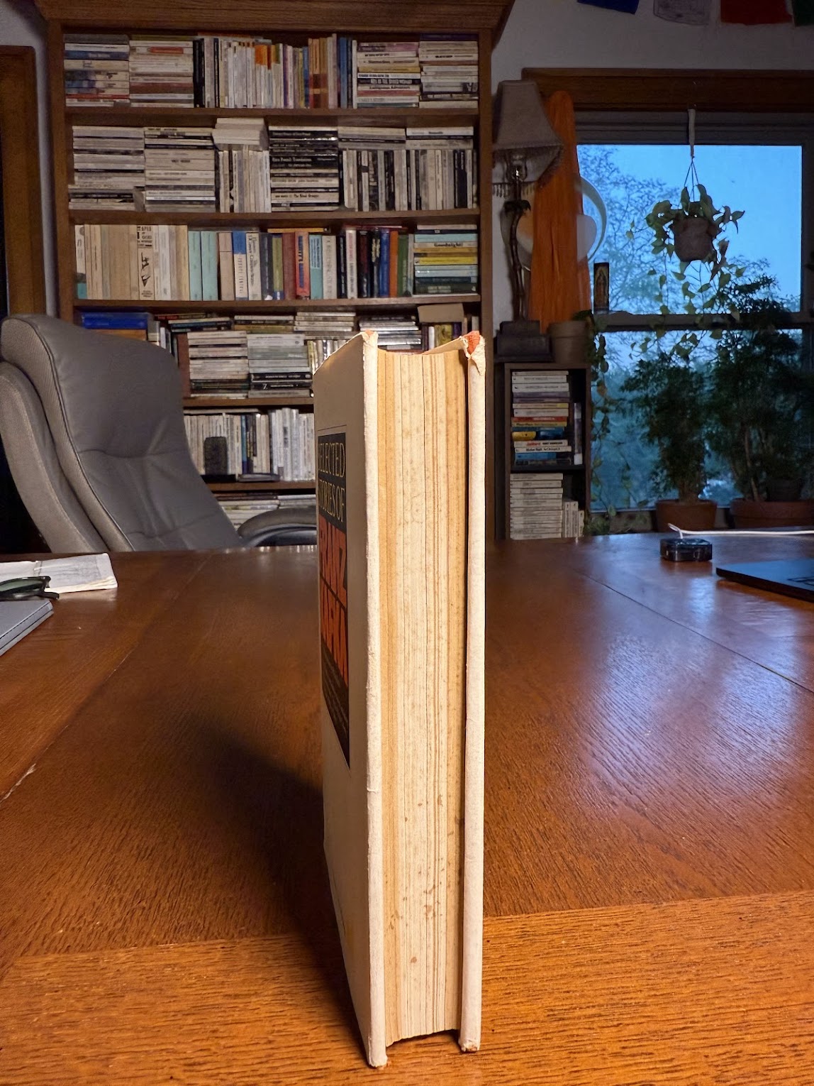 Selected Stories of Franz Kafka
