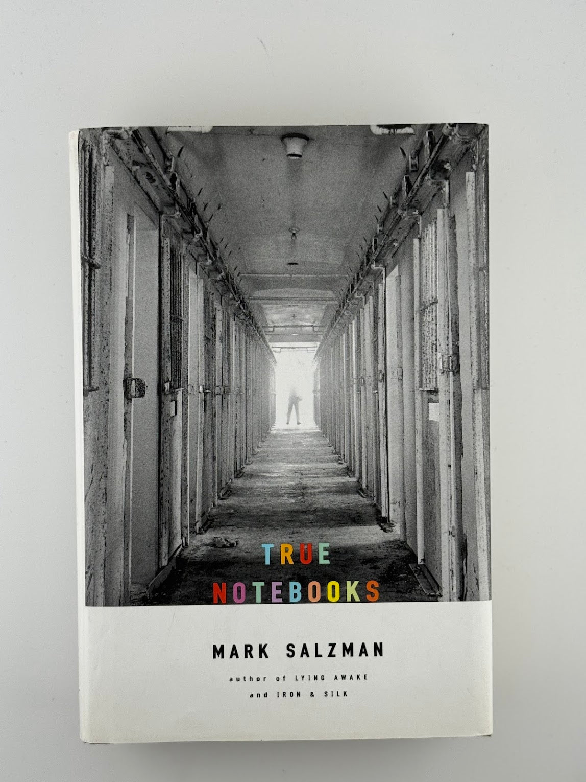 True Notebooks by Mark Salzman