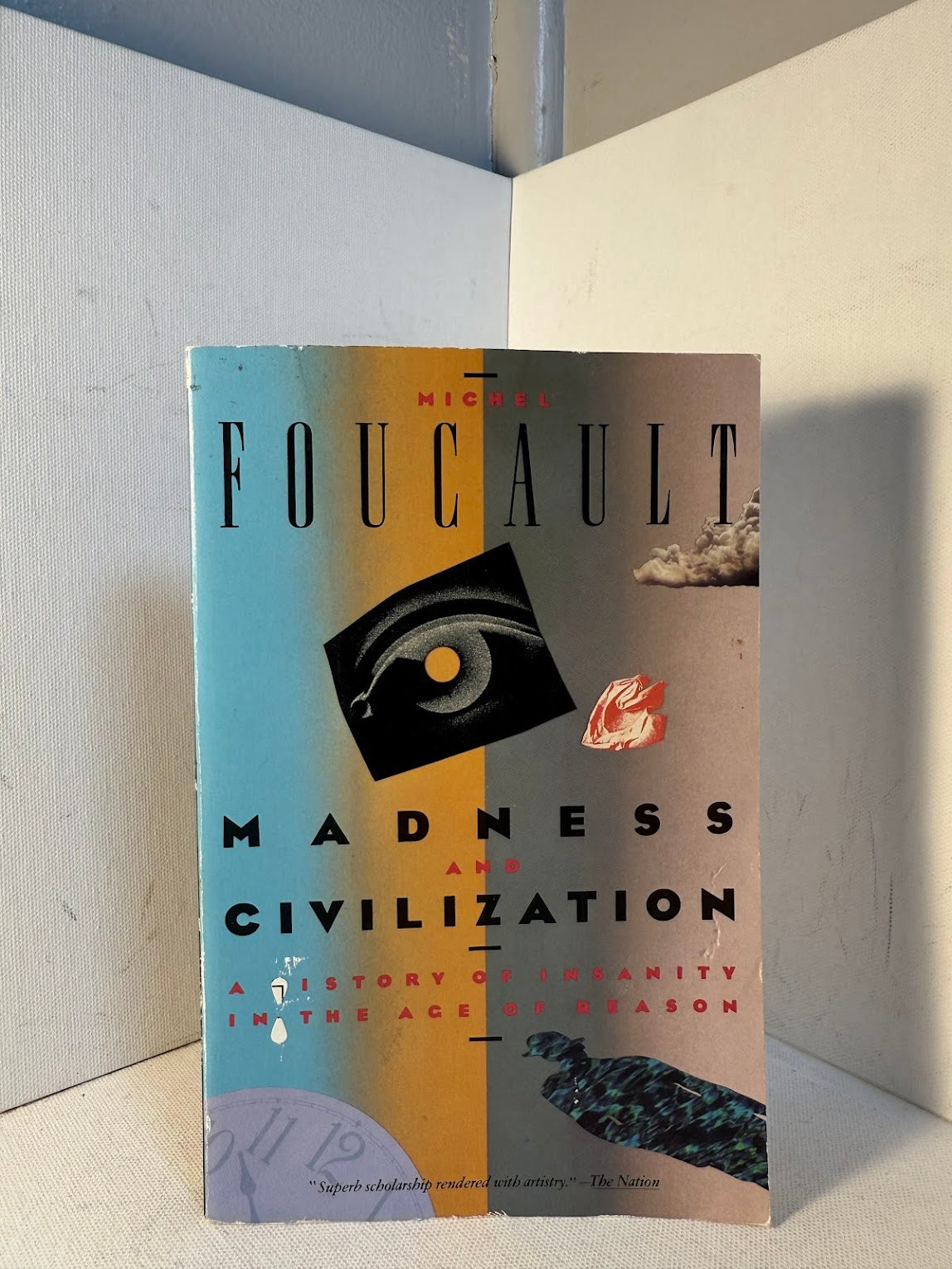 Madness and Civilization by Michel Foucault