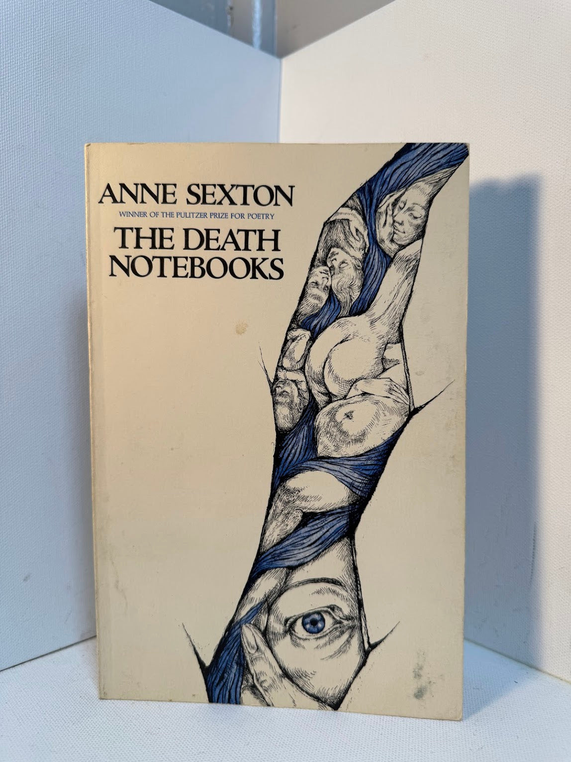 The Death Notebooks by Anne Sexton