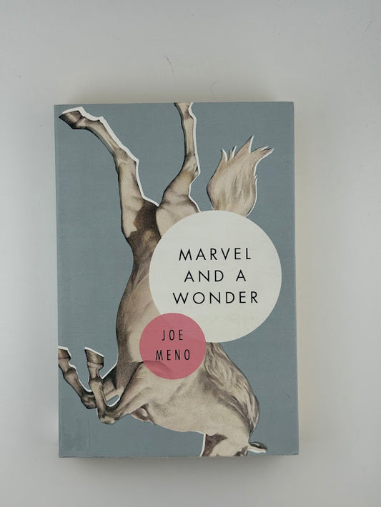 Marvel and a Wonder by Joe Meno