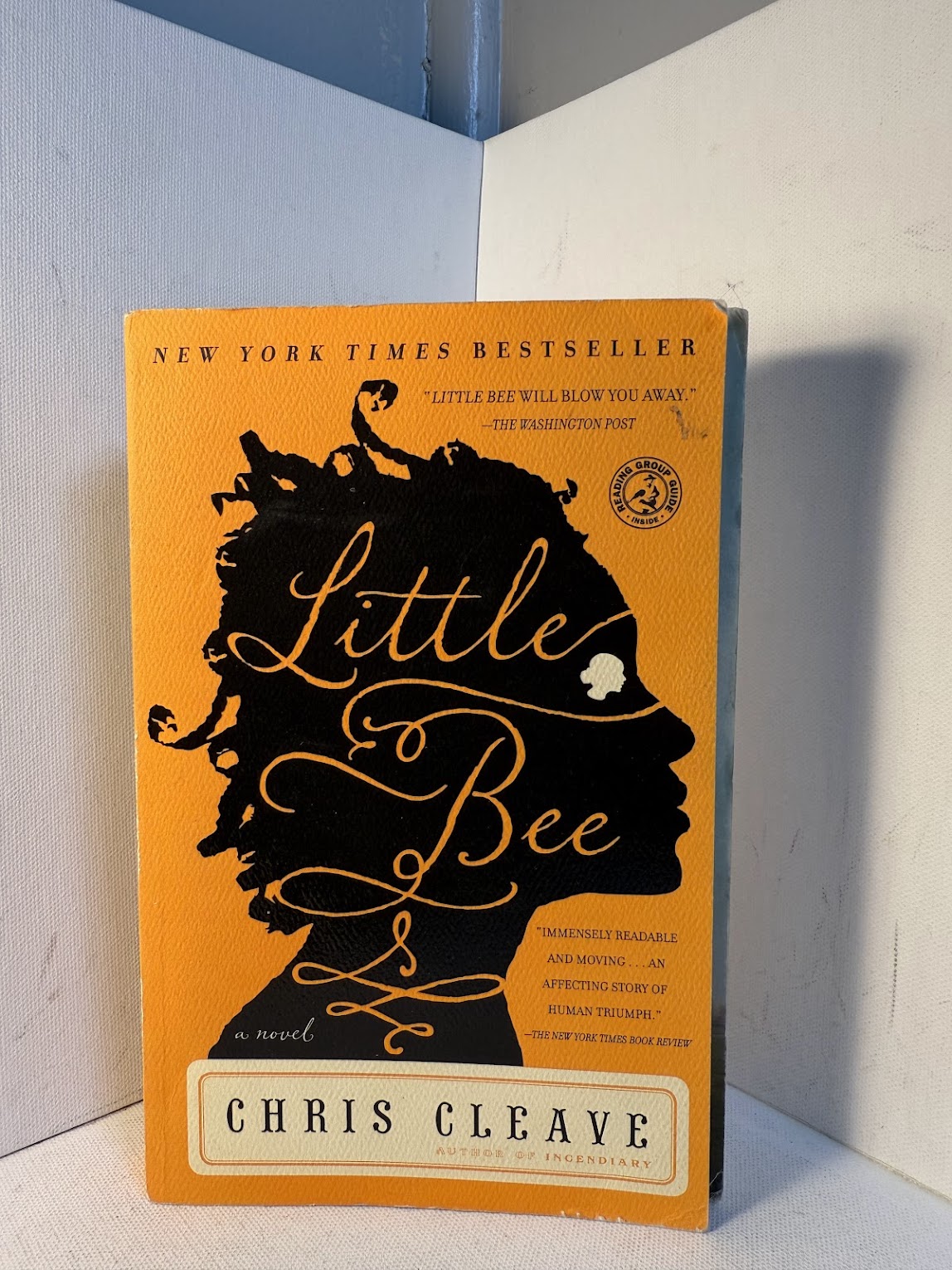 Little Bee by Chris Cleave