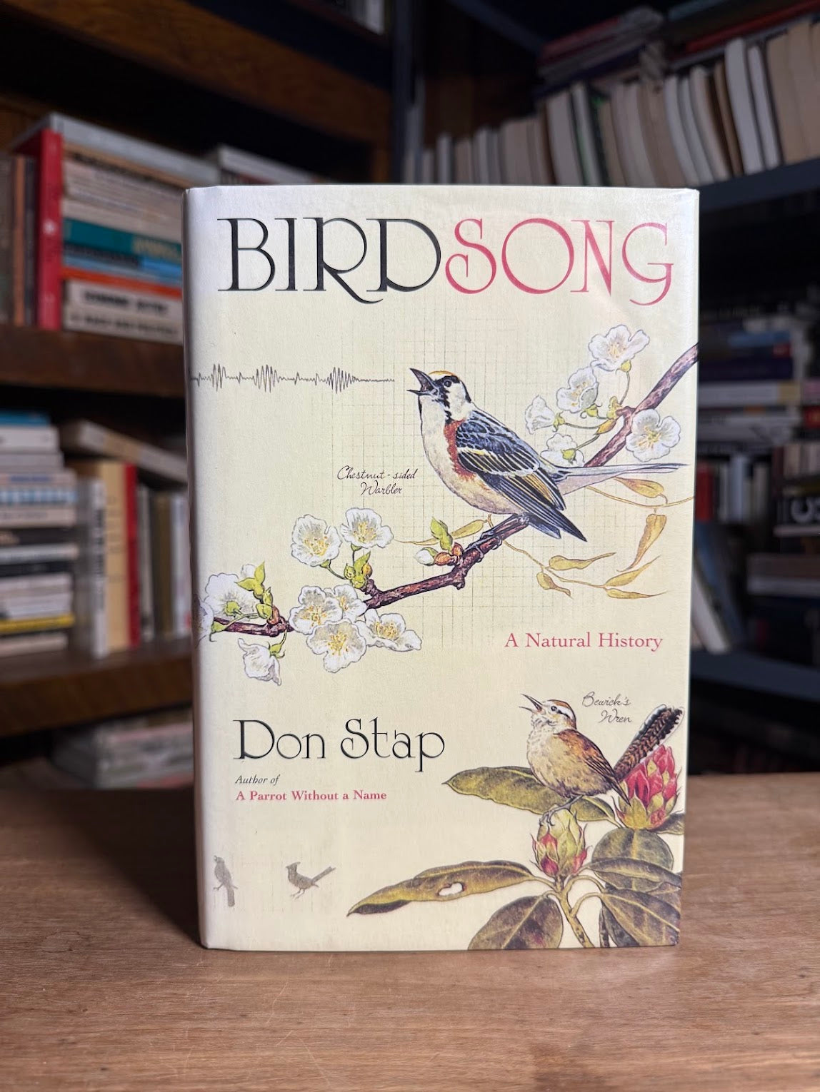 Birdsong - A Natural History by Don Stap