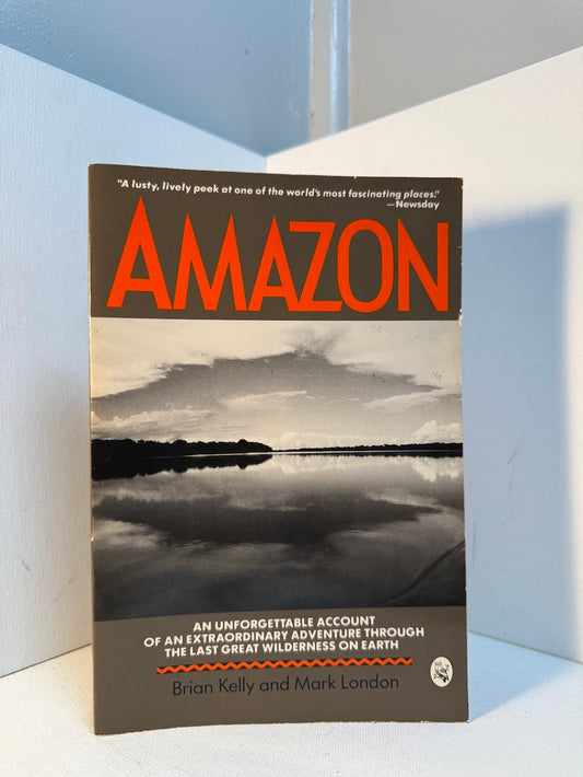 Amazon by Brian Kelly and Mark London