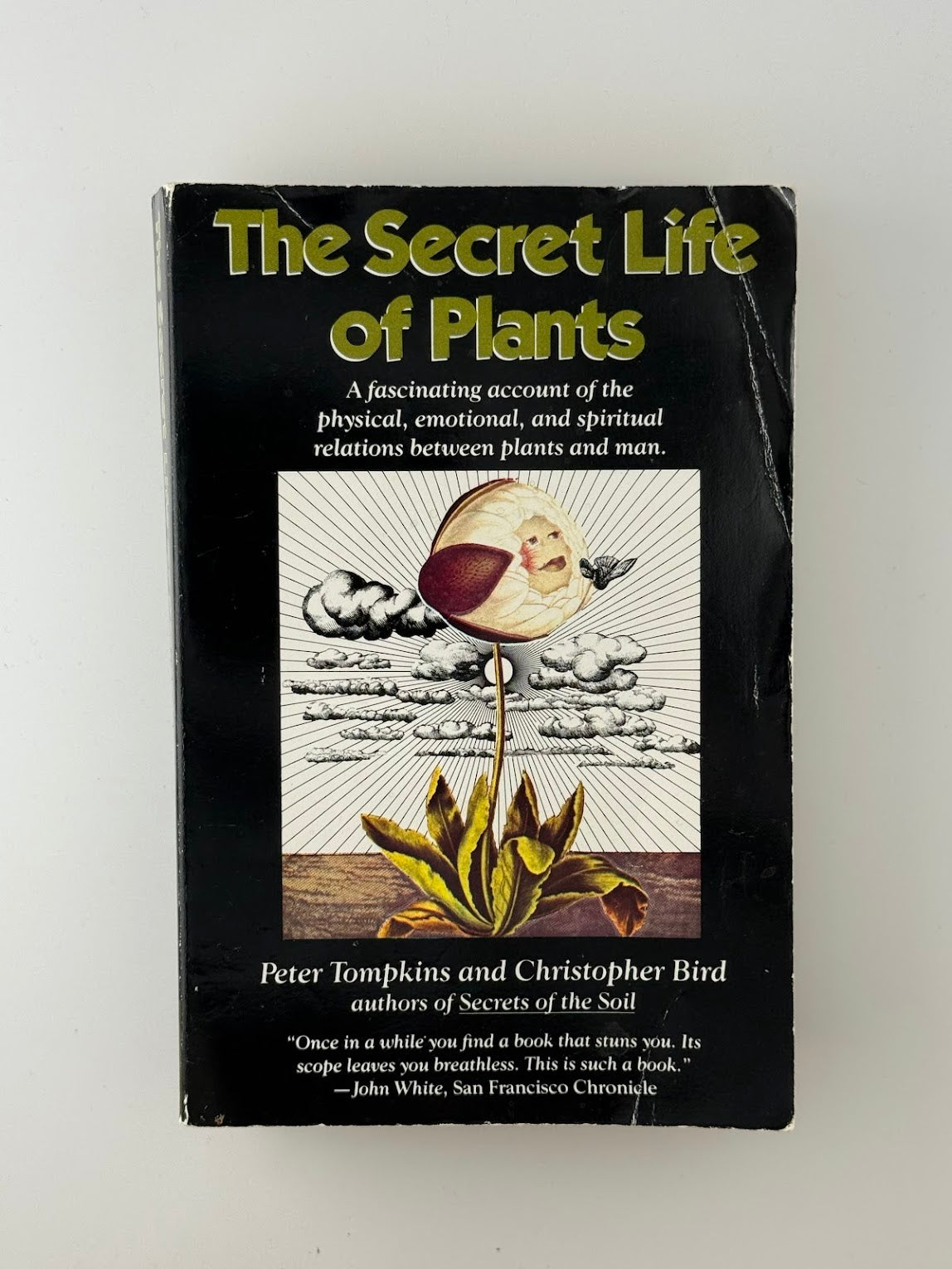 The Secret Life of Plants by Peter Tompkins and Christopher Bird