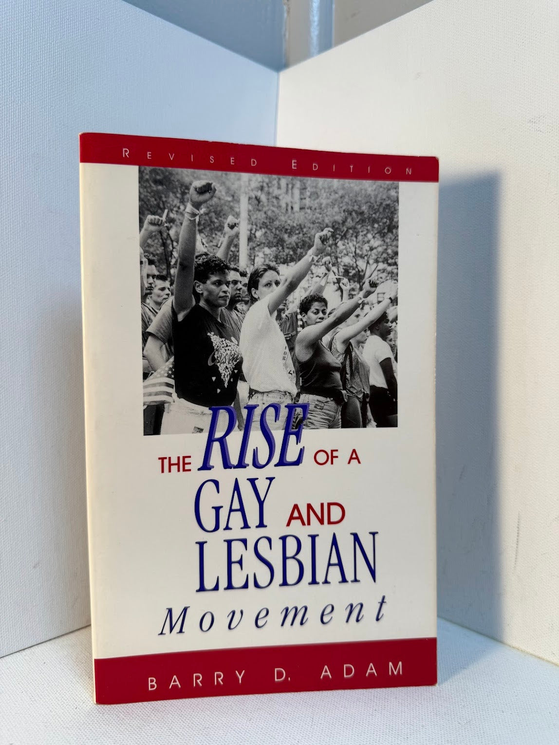 The Rise of a Gay and Lesbian Movement by Barry D. Adam