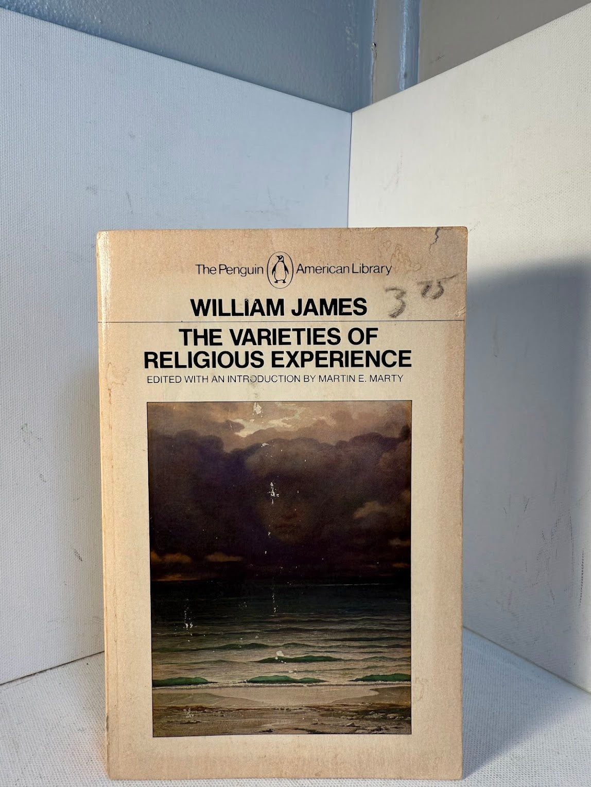 The Varieties of Religious Experience by William James