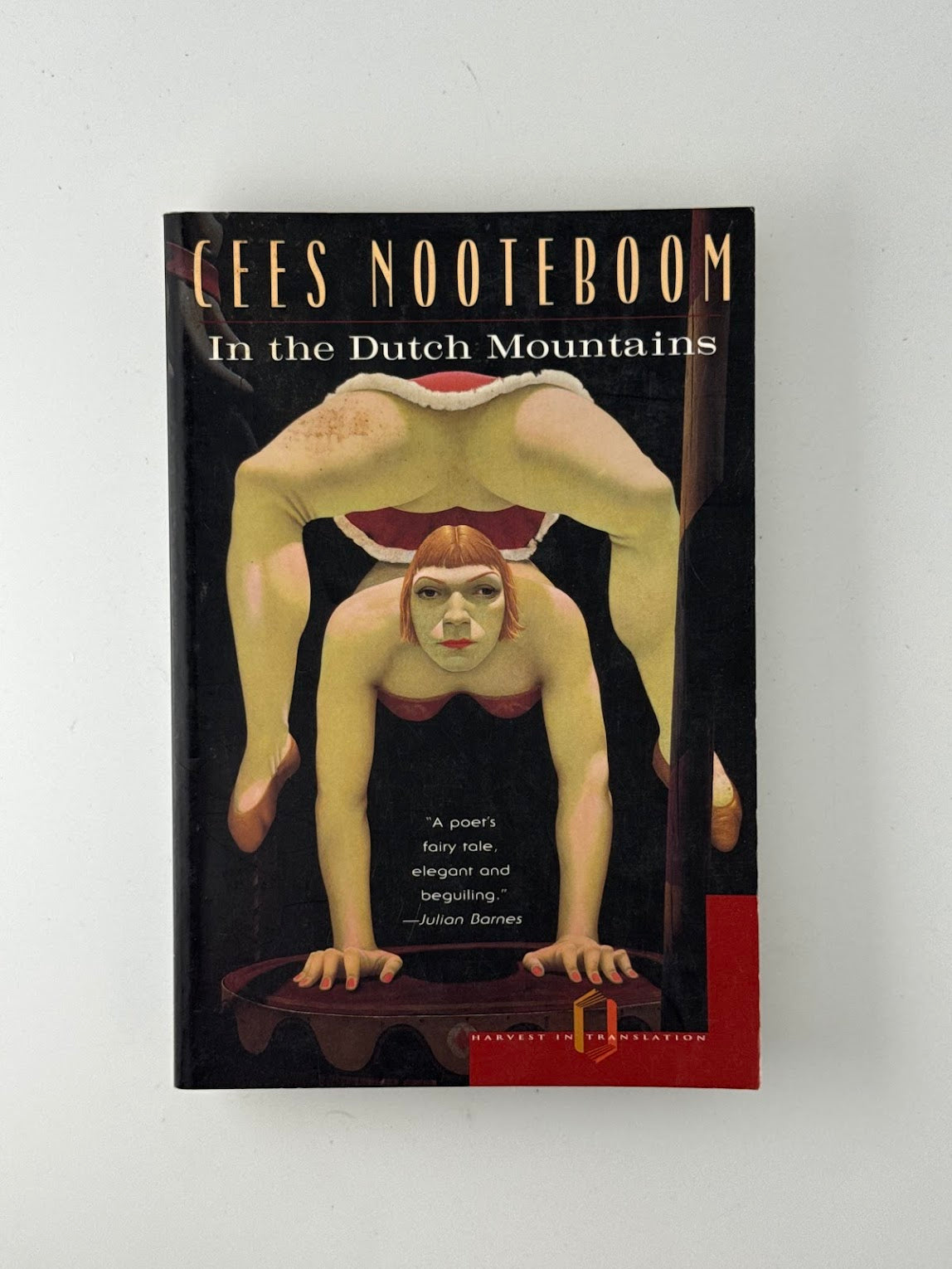 In the Dutch Mountains by Cees Nooteboom