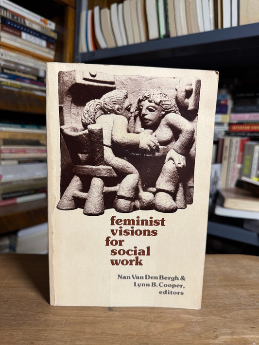 Feminist Visions for Social Work edited by Nan Van DenBergh & Lynn B. Cooper