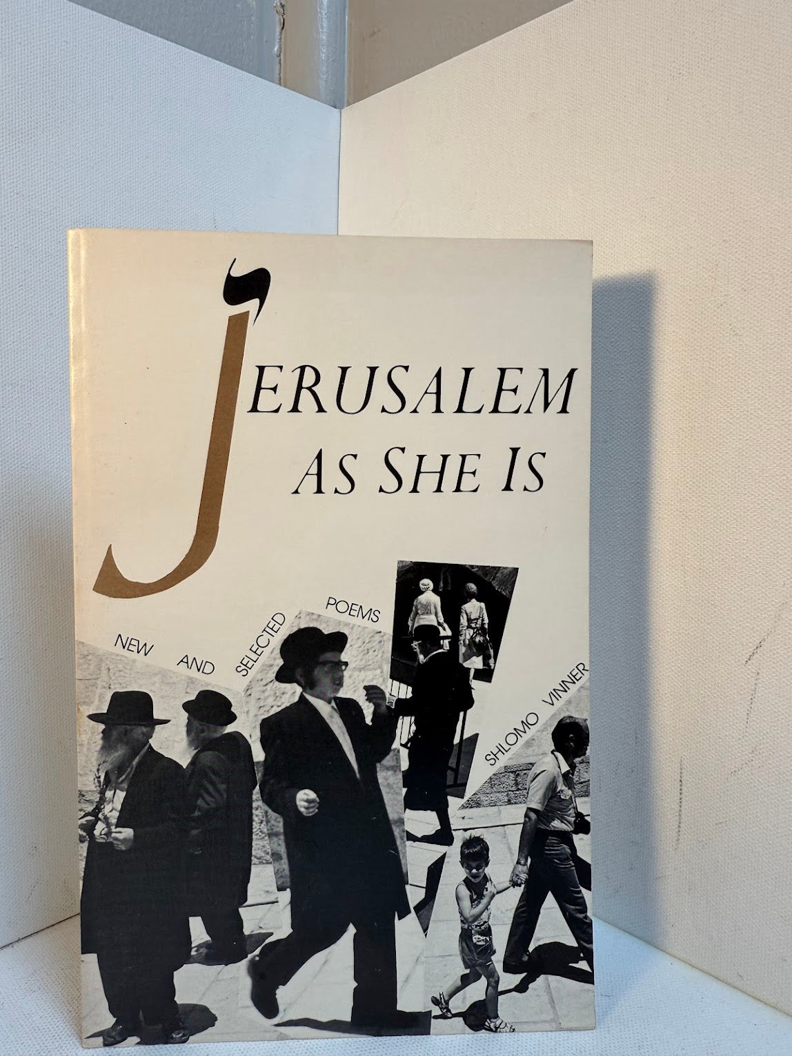 Jerusalem As She Is by Shlomo Vinner