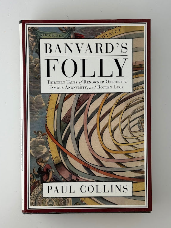 Banvard's Folly by Paul Collins