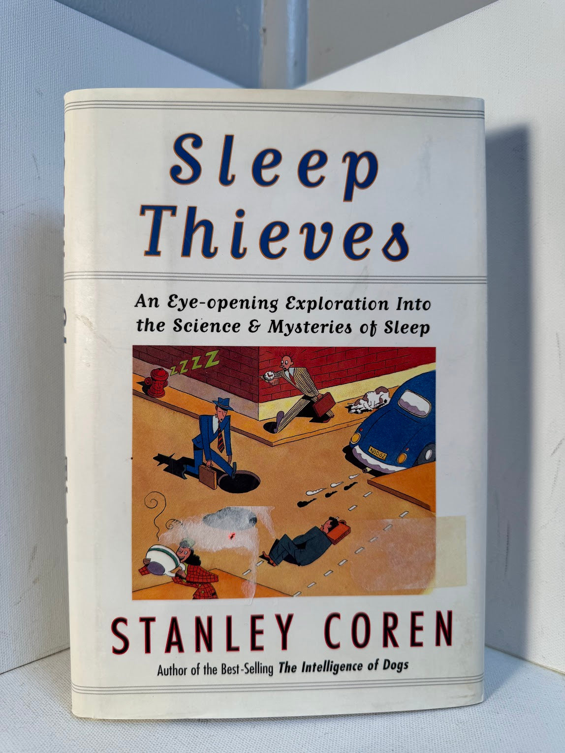Sleep Thieves by Stanley Coren