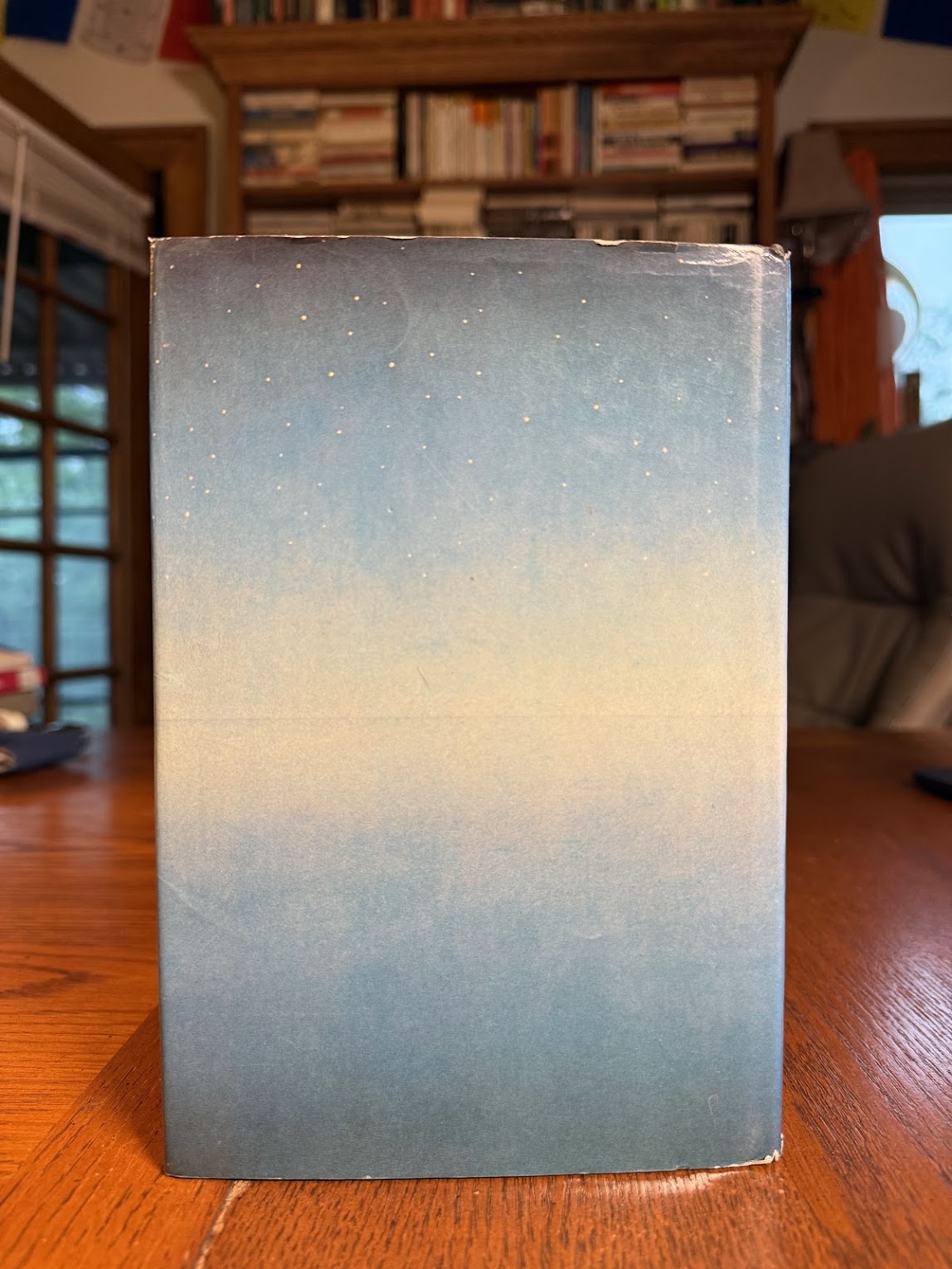 A Ring of Endless Light by Madeleine L'Engle