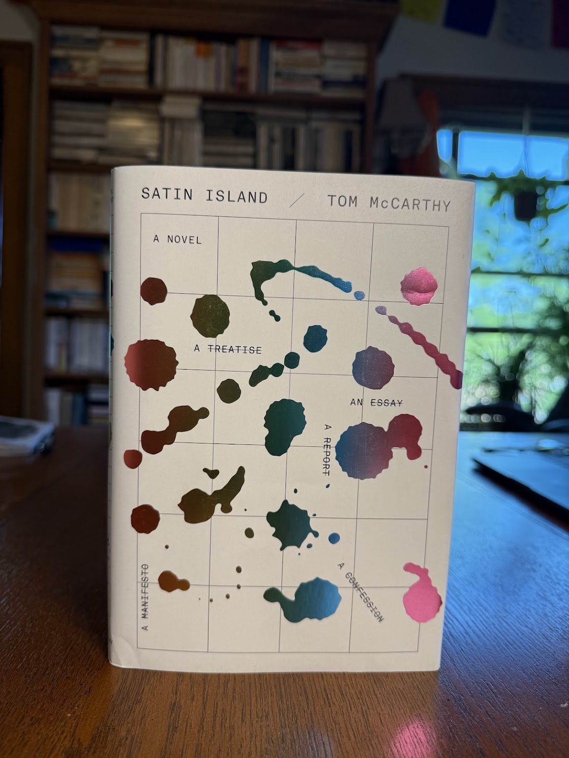 Satin Island by Tom McCarthy