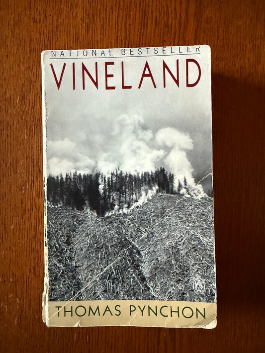 Vineland by Thomas Pynchon