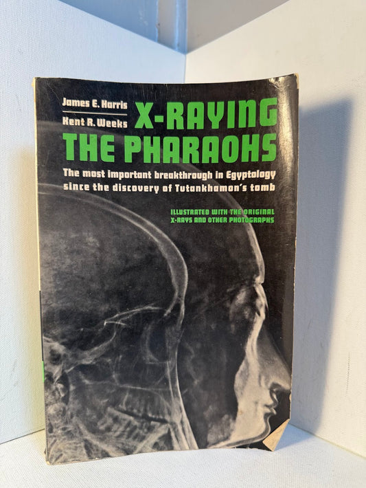 X-Raying the Pharaohs
