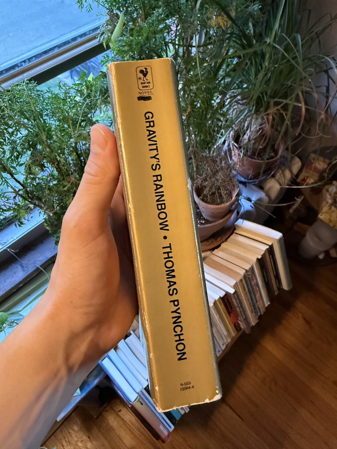 Gravity's Rainbow by Thomas Pynchon