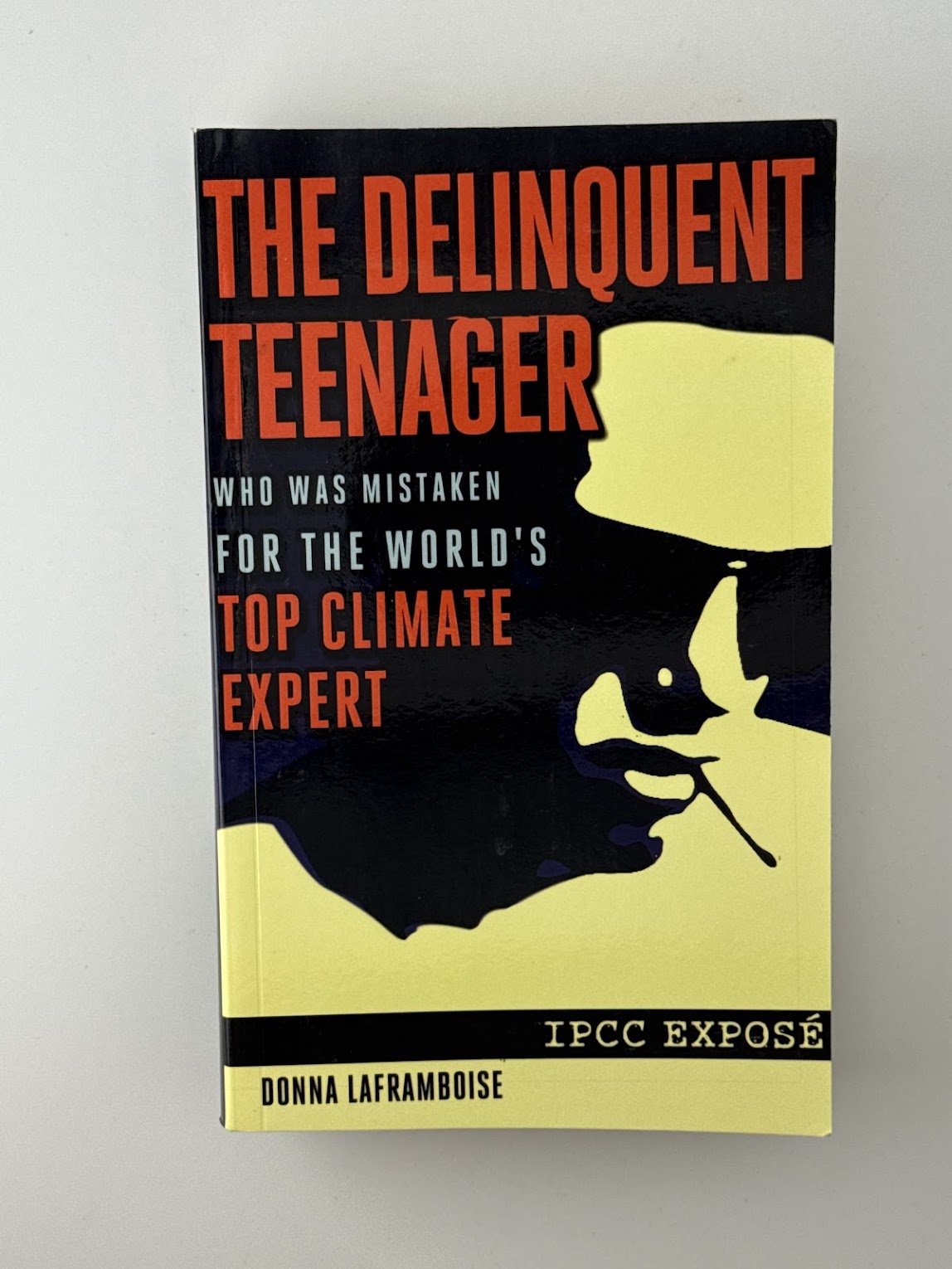 The Delinquent Teenager by Donna Laframboise