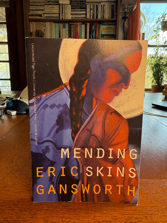Mending Skins by Eric Gansworth