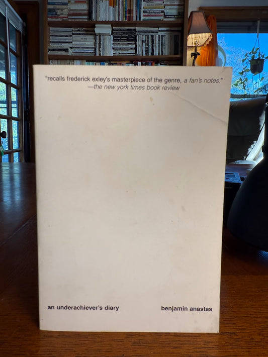 An Underachiever's Diary by Benjamin Anastas